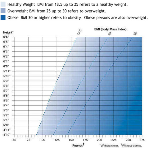 What is BMI? Does it really predict your health? — Diva Over Fifty